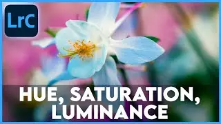 HUE, SATURATION, LUMINANCE (HSL) || 30 Days of Lightroom
