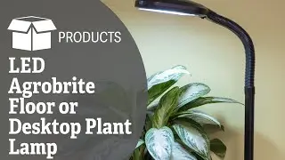 LED Agrobrite Floor or Desktop Plant Lamp