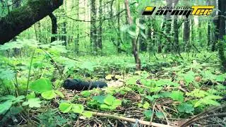 Światła Armytek nie boją się spadać z wysokości na jakiejkolwiek powierzchni