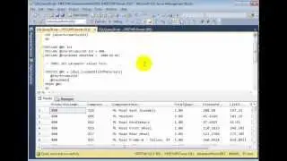 Stored Procedure with Parameters - SQL Server 2012 - Kalman Toth