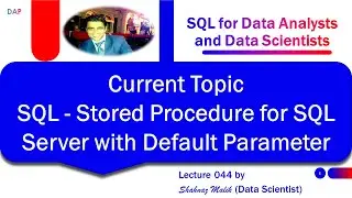 045 - SQL for Data Analysts and Data Scientists - Stored Procedure SQL Server Default Parameters