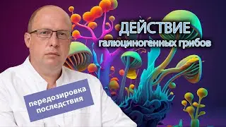 🍄 Действие галлюциногенных грибов - передозировка, последствия ⚠️