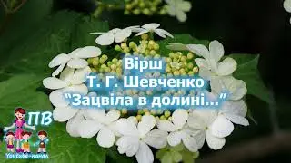 Зацвіла в долині червона калина, ніби засміялась дівчина дитина (вірш Т.Г. Шевченка)