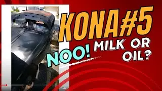 Milk or oil?