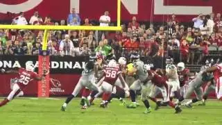 Arizona Cardinals Defense 2013