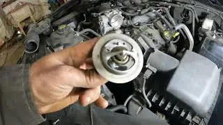 ford mustang 3 7 thermostat replasment