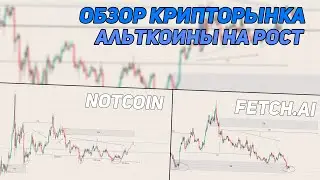 ОБОЗР КРИПТОВАЛЮТНОГО РЫНКА - АЛЬТКОИНЫ для РОСТА BITCOIN, NOT, BOME, FET, SUI