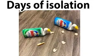 UNUSUAL MEMES V294