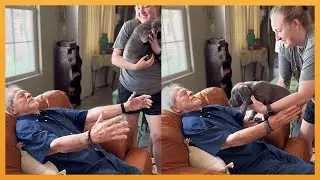 BEST PUPPY SURPRISE FOR GRANDPARENTS | SURPRISE PUPPY REACT!