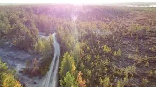 Остров среди болот 2