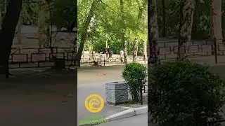 #квддно распростроняйте этот хештег