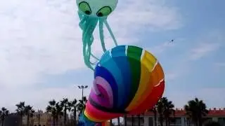 Kites