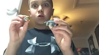 Building mini models as a stream?