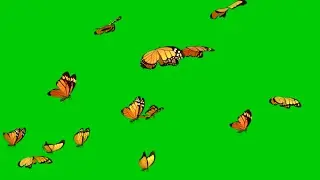 Free! Butterfly 🦋 flying green screen | No-Copyright | Free Download