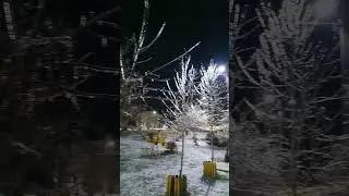 Вечерняя прогулка в парке)
