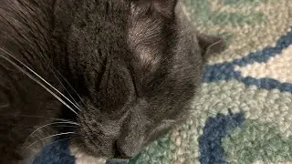 Thomas being the eepiest boy!