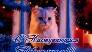 С новым годом.