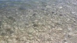 В КРЫМУ даже камни в цвет РОССИЙСКОГО ФЛАГА