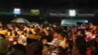 《大约在冬季》：马华早已露败象？