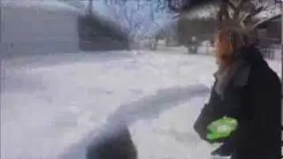 Bella the Snow-Dog!