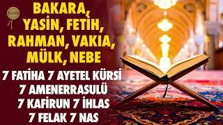 Bakara Yasin Fetih Rahman Vakıa Mülk Nebe 7 Fatiha Ayetel Kürsi Amenerrasulü Kafirun İhlas Felak Nas