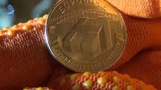 10 рублей 2021 год. Боровичи.  ГВС. Города трудовой доблести.  