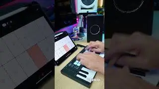 Culture Beat - Mr. Vain (BandLab Cover) 