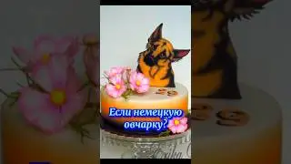Какой торт ты бы хотел (а) попробовать)?