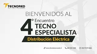 El futuro de la Electricidad y Nuevo Consumidor en el Segmento de la Distribución.