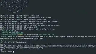 Retrieving Auth Token                
