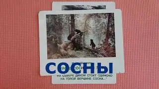 Учись читать, малыш Шаг 13 3 Слова СОСНА, НАСОС