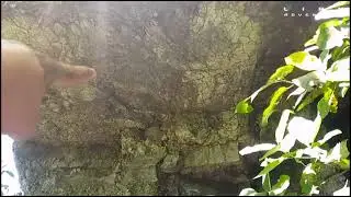 Japanese Imperial Army Closed Tunnel | Bukidnon. Part 1 - (ADVENTURE SERIES)