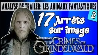 LES CRIMES DE GRINDELWALD - ANALYSE