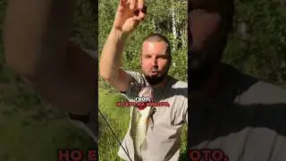 Най-здравният силикон в света NIKKO! Може да ги намерите на twitchfishing.com