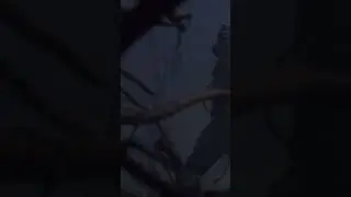 Примерно так парни прячутся от девушек после корпоратива 