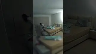 кошки 😅