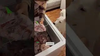 Не справедливость 😂 