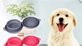 TRAVEL DOG DOUBLE SILICONE BOWL