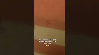 VCS KETAHUAN SUAMI DI KAMAR MANdi