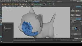 Cat Topology