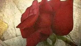 Váradi Roma Cafe - Boldogság merre jársz , Úgy mentél el, Fogadj el engem így ahogy vagyok