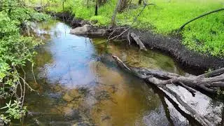 My DJI Mini PRO 4'S First Flight