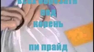 оразец жаззззни  пи прайд