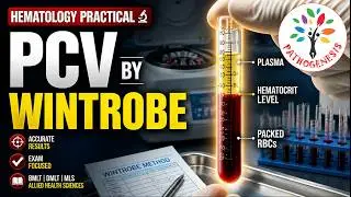 PCV ll Packed Cell Volume ll Haematocrit ll 