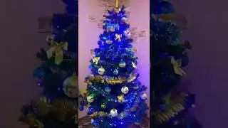 ЯЛИНКИ УКРАЇНИ 2024