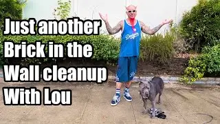 Just another brick in the wall, clean up with Lou