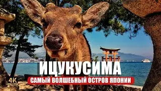 Ицукусима. Cамый волшебный остров Японии: олени-воришки и плавучее святилище 🦌🌊 ⛩️