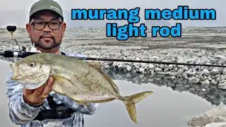 medium light | yellow spotted trevally | fujairah fishing |