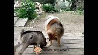 Что то я завёлся...