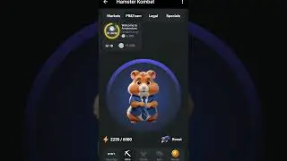 НОВОЕ КОМБО ХАМСТЕР КОМБАТ 24 ИЮНЯ Hamster Kombat new kombo #hamsterkombat